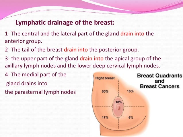 cylinrical breast cancer Girls who put cock ring on